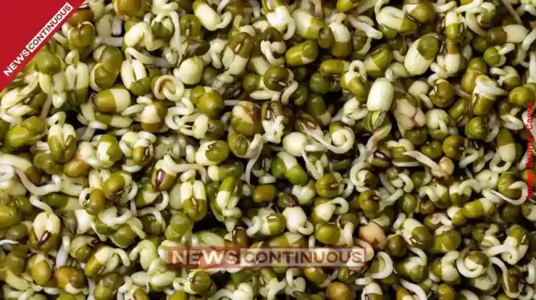 Health Benefits of Eating Sprouted Moong for Breakfast A Superfood for Digestion, Weight Loss, and Immunity