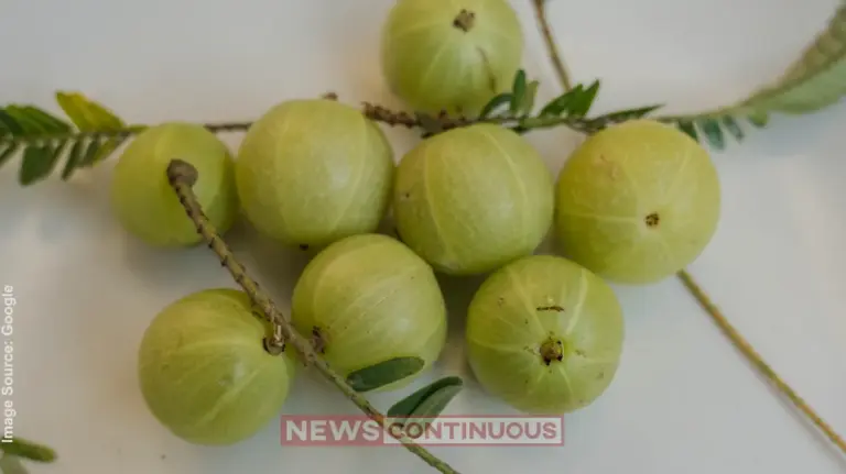 Benefits of Amla and Mishri Combination: A Powerful Ayurvedic Remedy for Acidity, Blood Purification, and Weight Loss
