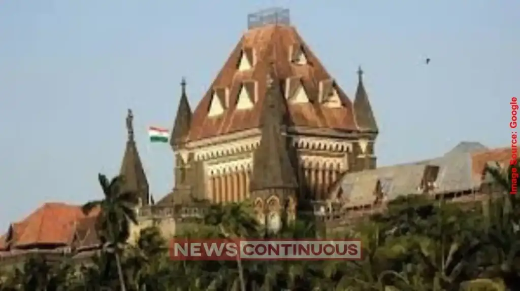 Nylon Manja Ban Maharashtra Govt Forms Special Task Force; Bombay HC Grants 4 Weeks to Submit Final Report