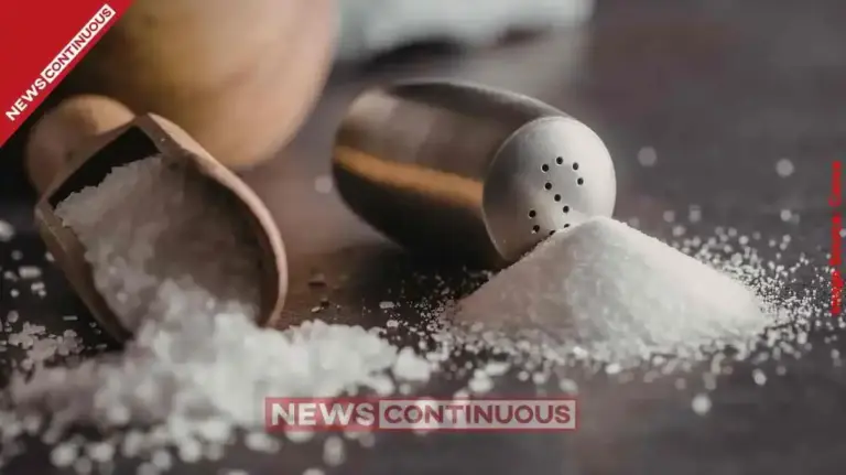 Salt vs Sugar in Yogurt Which Combination is Better for Your Health Section - હેલ્થ સમાચાર