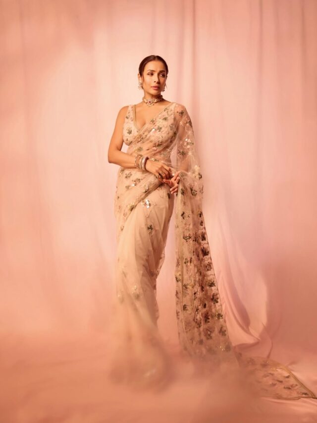 સાડીમાં મલાઇકા અરોરાનો કિલર લુક, ફેન્સ થયા ફિદા!