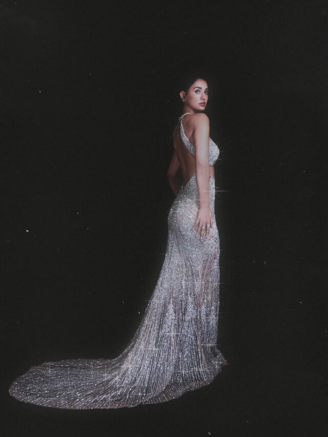 સિલ્વર બેકલેસ ગાઉનમાં દિશા પાટનીનો કિલર લુક, અલેક્ઝાન્ડરે લુટાવ્યો પ્રેમ