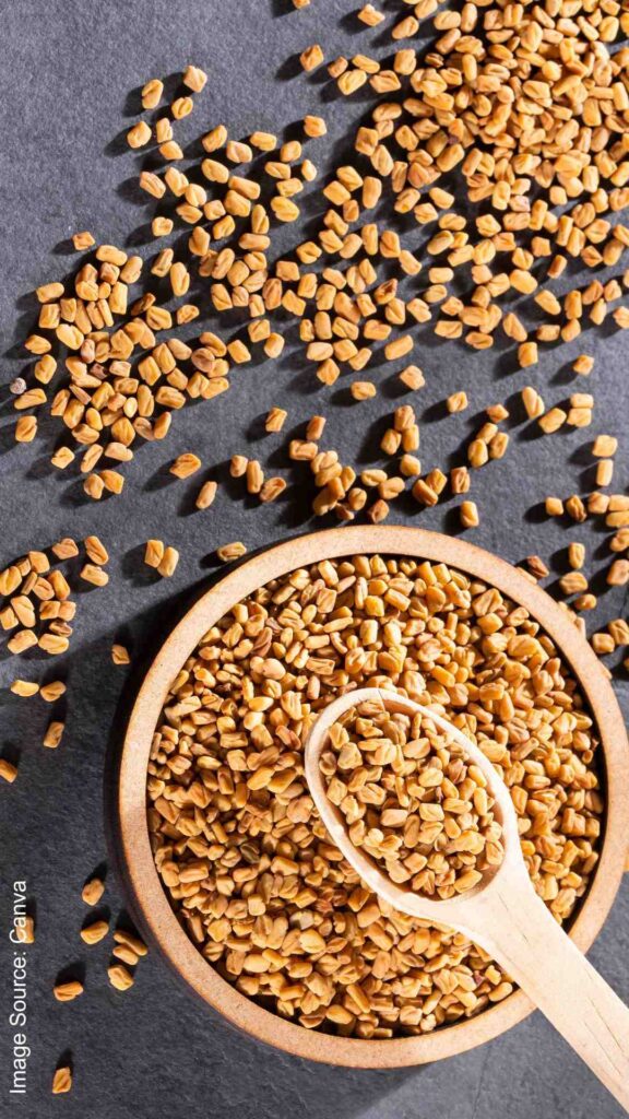 Fenugreek Seeds Benefits નાનકડા દાણા, મોટા ફાયદા! જાણો સવારે ખાલી પેટ સેવન કરવાના 'ચમત્કારી' ગુણો.