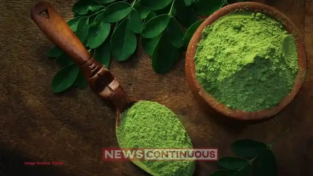 Benefits of Moringa Powder: A powerhouse of nutrients; Know how it helps fight diseases and the right way to use it.