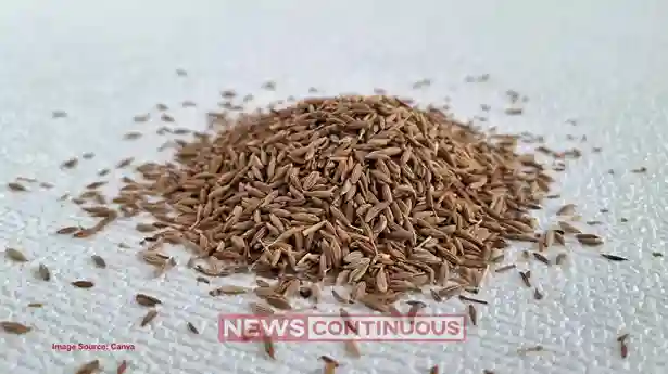 Cumin Prices India: War halts exports, halts cumin boom