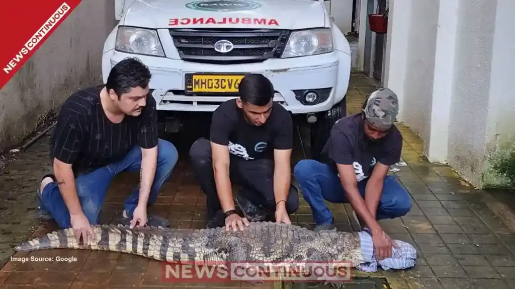 Crocodile rescued from a drain in Mulund; residents panic, Forest Department ensures safe relocation.