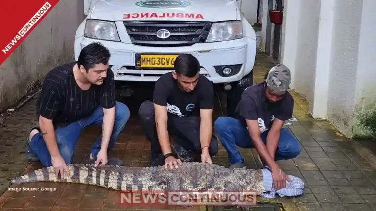 Crocodile rescued from a drain in Mulund; residents panic, Forest Department ensures safe relocation.