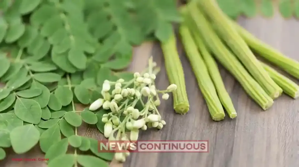 Moringa: The Summer Superfood; know how 'Drumsticks' help fight heat, dehydration, and digestive issues.