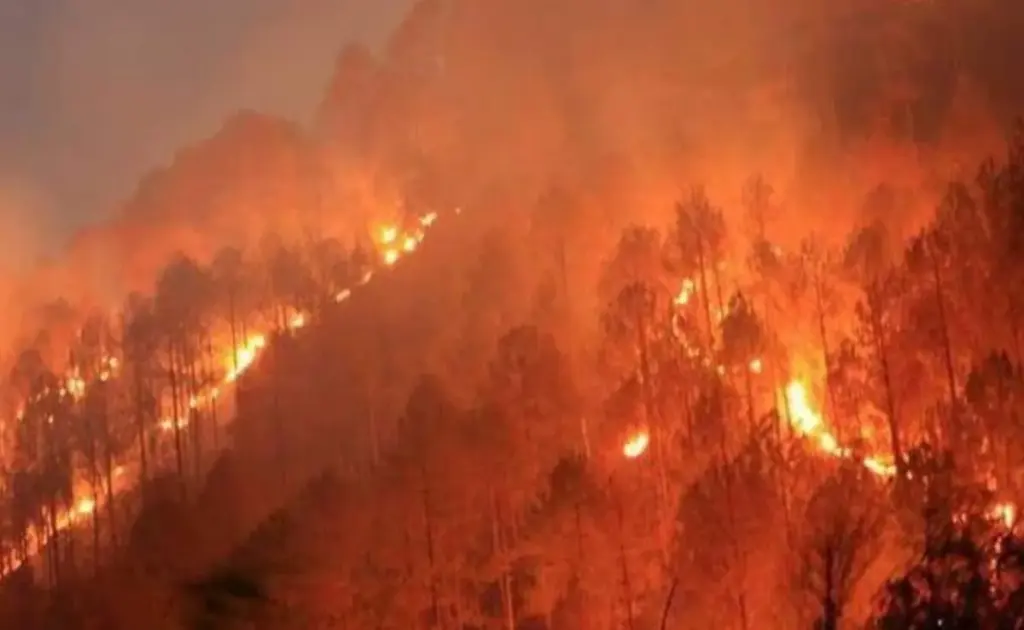 Himachal Forest Fire। હિમાચલ અને ઉત્તરાખંડના જંગલોમાં ભયંકર આગ, સોલન સહિતના વિસ્તારોમાં હાઈ એલર્ટ