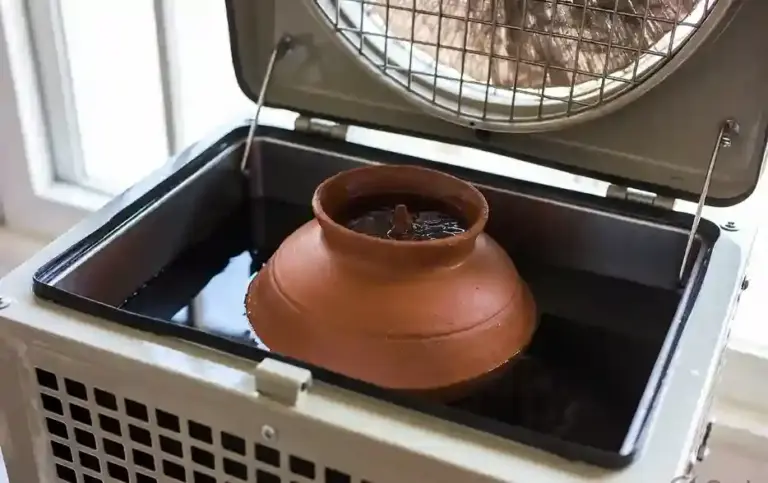 Cooler Pot Viral Trick। ઉનાળામાં AC જેવી હવા મેળવવાનો નવો ક્રેઝ! કૂલરમાં માટીનું માટલું મૂકવાથી ગરમી ગાયબ થાય છે કે આ માત્ર ભ્રમ છે? જાણી લો સત્ય