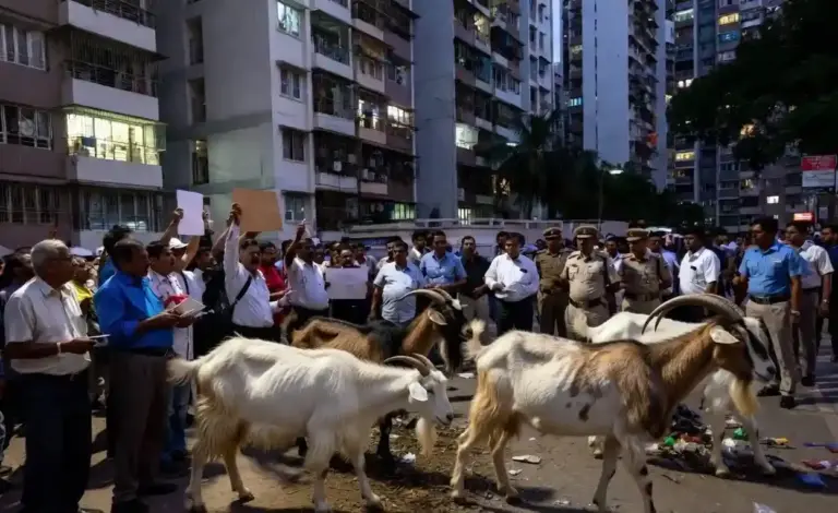 Borivali Sumer Nagar Society Animal Controversy। બોરીવલીની સોસાયટીમાં પશુઓ રાખવા મુદ્દે રહીશોનો આક્રોશ સફાઈ અને સ્વાસ્થ્ય જોખમાતાં વહીવટી તંત્રને કડક કાર્યવાહીના આદેશ