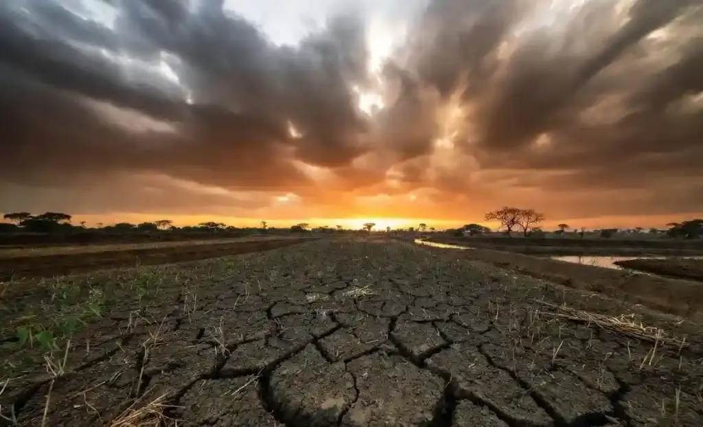 El Nino Impact on Agriculture અલ નિનોની અસર, કૃષિપેદાશોના ભાવમાં તેજીનો માહોલ