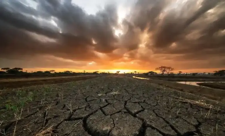 El Nino Impact on Agriculture  અલ નિનોની અસર, કૃષિપેદાશોના ભાવમાં તેજીનો માહોલ