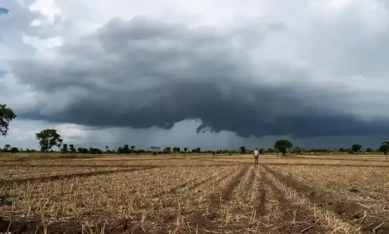 El Nino Monsoon Impact  અલ નીનોની અસરથી ચોમાસું નબળું, જૂનમાં વરસાદમાં મોટો ઘટાડો
