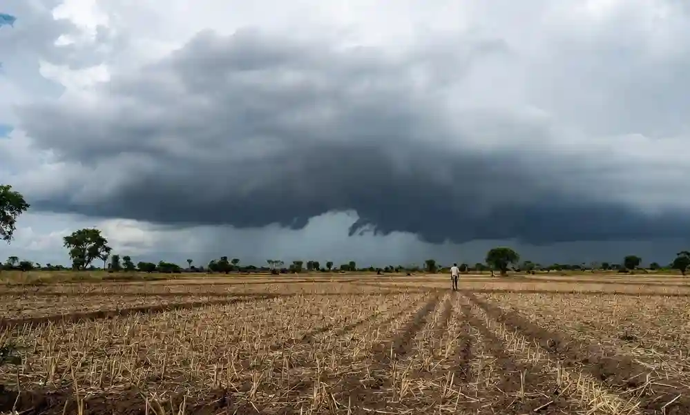 El Nino Monsoon Impact અલ નીનોની અસરથી ચોમાસું નબળું, જૂનમાં વરસાદમાં મોટો ઘટાડો