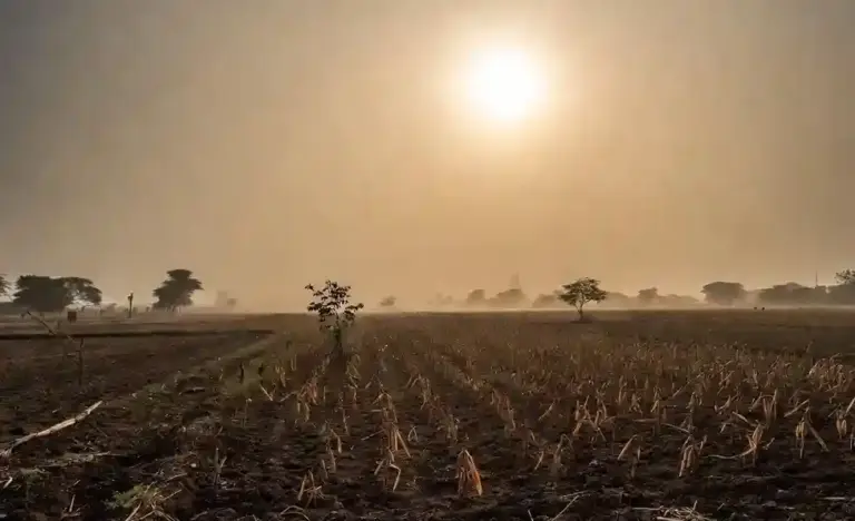 Gujarat Weather Monsoon Update  ગુજરાતમાં મેઘરાજા કેમ રિસાયા? જૂન મહિનામાં જ વરસાદની ભારે અછત, જાણો હવે ક્યારે જામશે અસલી ચોમાસું