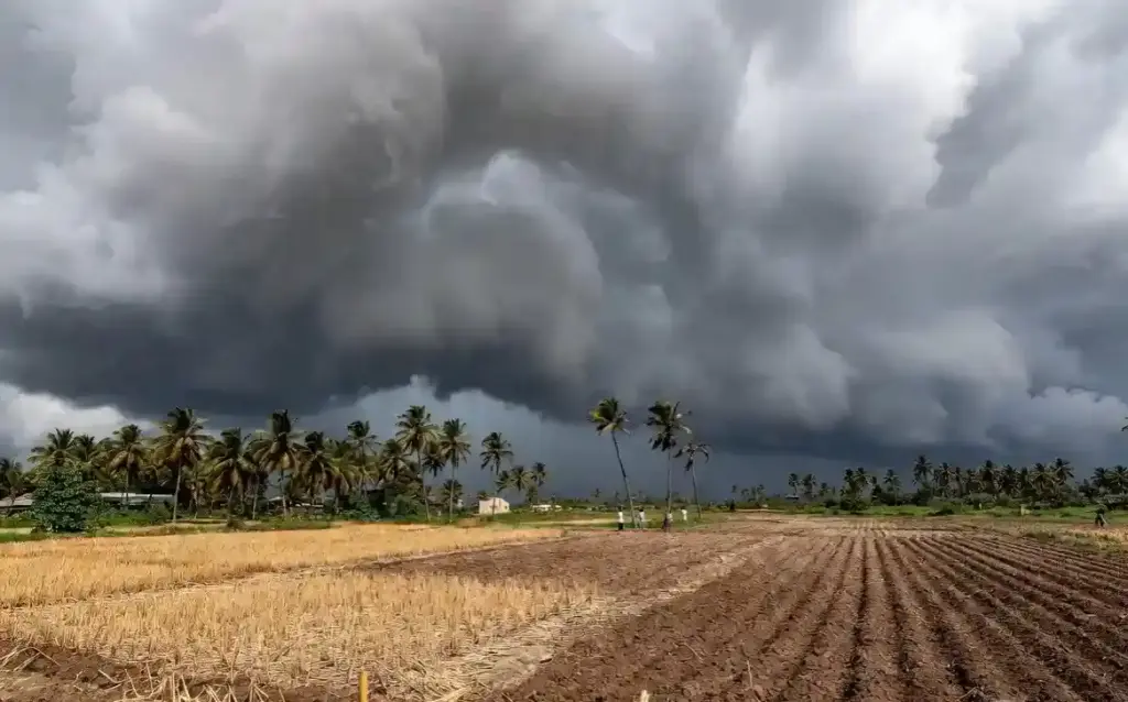 IMD Monsoon Update Maharashtra મહારાષ્ટ્રમાં ચોમાસા પર લાગી બ્રેક સોલાપુરહર્ણેમાં પવનો થંભી જતાં ખેડૂતો ચિંતિત, વાવણી ખોરવાઈ!