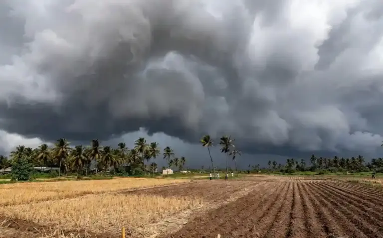 IMD Monsoon Update Maharashtra  મહારાષ્ટ્રમાં ચોમાસા પર લાગી બ્રેક સોલાપુરહર્ણેમાં પવનો થંભી જતાં ખેડૂતો ચિંતિત, વાવણી ખોરવાઈ!