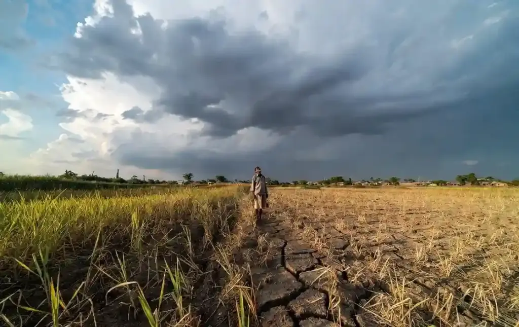 Monsoon 2026 Delay Factors વાવણી પછી વરસાદ ગાયબ! હવામાન વિભાગે આપ્યા ચોંકાવનારા સંકેતો, જાણો કેમ ધીમી પડી ચોમાસાની ગતિ