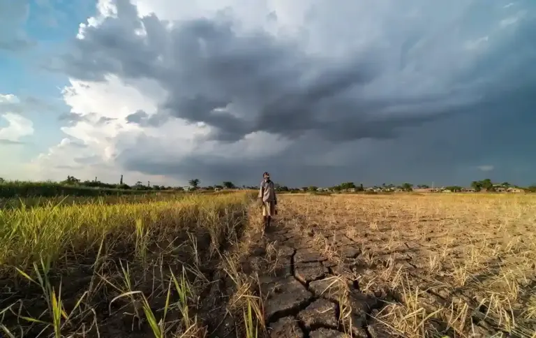 Monsoon 2026 Delay Factors  વાવણી પછી વરસાદ ગાયબ! હવામાન વિભાગે આપ્યા ચોંકાવનારા સંકેતો, જાણો કેમ ધીમી પડી ચોમાસાની ગતિ
