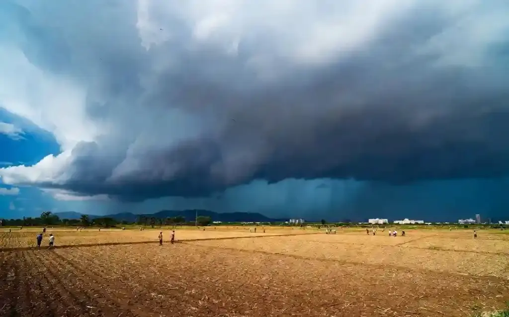 Monsoon Rain Update મહારાષ્ટ્રમાંથી ચોમાસું ગાયબ? ૨૦ જૂનની આગાહી ફ્લોપ, હવે આ દિવસથી શરૂ થશે ધમાકેદાર વરસાદ