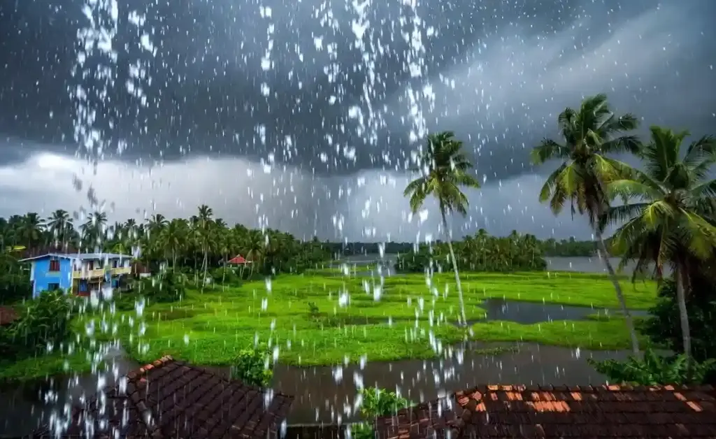 MonsoonUpdate 2026। મોડું પણ મજબૂત! કેરળ પહોંચ્યું ચોમાસું, પરંતુ ‘એલ નિનો’ વધારશે ચિંતા? હવામાન વિભાગની મોટી આગાહી