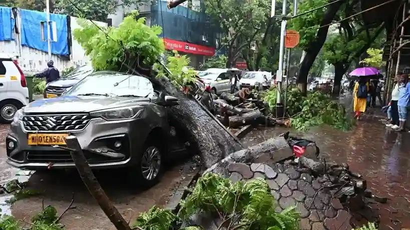 Tree collapse in Mumbai મુંબઈના દાદર TT સર્કલ પાસે ચાલુ વરસાદે કાર પર વિશાળ વૃક્ષ તૂટી પડ્યું, વાહનને ભારે નુકસાન થયું