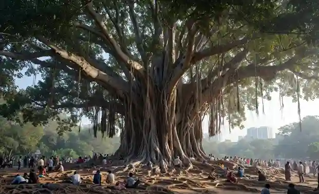 120YearOld Banyan Tree in Mumbai  કોંક્રિટના જંગલમાં કુદરતનો સાક્ષી, ૧૨૦ વર્ષ જૂનું વડનું વૃક્ષ, જે આજે પણ આપે છે લોકોને શીતળ છાયા.