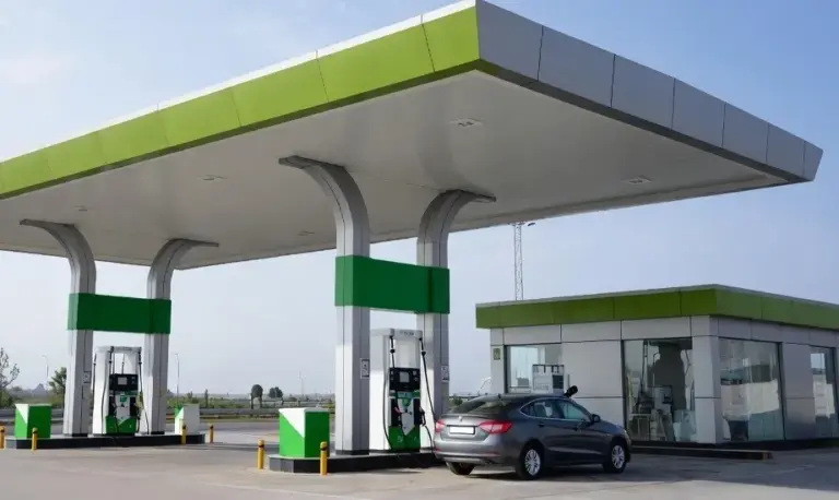 E25 Petrol launch plans  E20થી પરેશાન છો? હવે E25 પેટ્રોલ લાવવાની તૈયારીમાં સરકાર, જાણો શું બદલાશે વાહનો પર તેની અસર