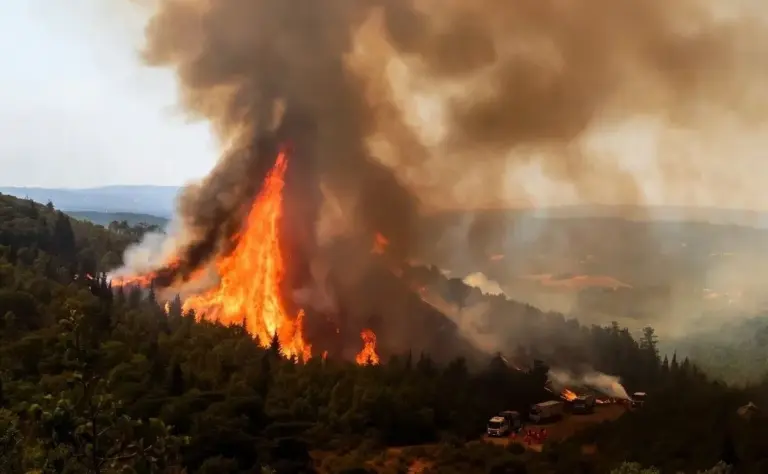 Europe Wildfires Emergency  યુરોપિયન દેશોમાં જંગલો સળગી ઉઠતા ૩ લાખથી વધુ નાગરિકો ઘરવિહોણા, સ્પેનમાં કટોકટી જાહેર.