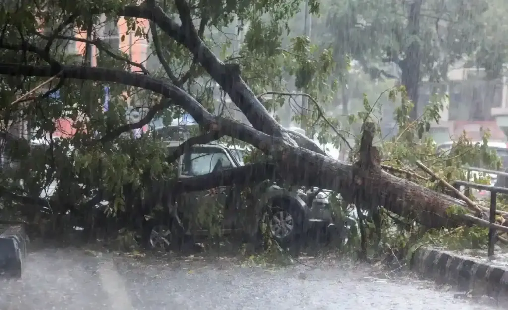 Jogeshwari Tree Collapse  જોગેશ્વરીમાં ભારે વરસાદ વચ્ચે વિશાળ વૃક્ષ ધરાશાયી ટેમ્પો અને વીજળીના મીટર બોક્સને ભારે નુકસાન
