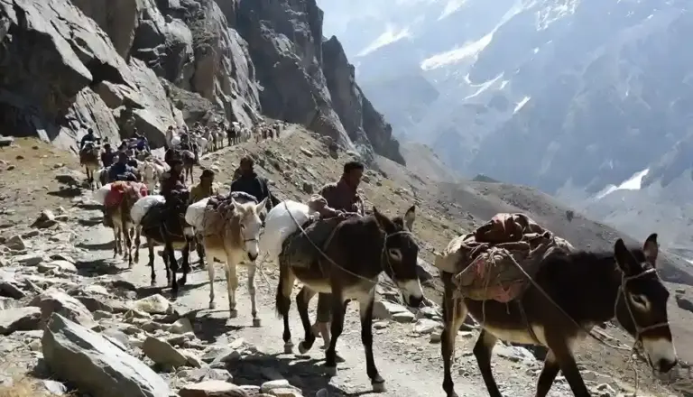 Kedarnath Mule Operators કેદારનાથમાં શ્રદ્ધાળુઓ સાથે ગેરવર્તન, ખચ્ચર ચાલકો સામે વહીવટીતંત્ર લાલઘૂમ, લેવાશે કડક પગલાં!