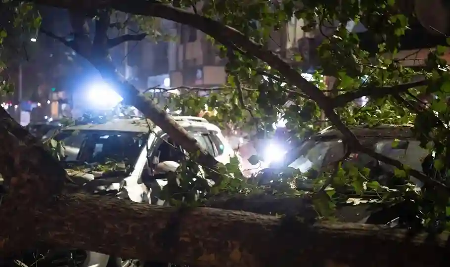 Mumbai Mahim Tree Collapse માટુંગામાં ભારે વરસાદે મચાવી તબાહી, કાર પર વૃક્ષ પડવાથી ભારે નુકસાન…