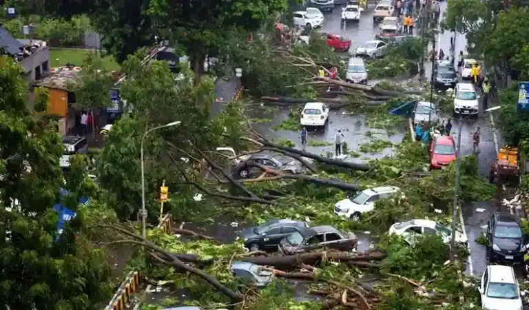 Mumbai Monsoon Tree Collapse  મુંબઈમાં કાળ બન્યો વરસાદ, ૬ દિવસમાં ૧૧૦૦ વૃક્ષો ધરાશાયી, ૫ ના મોત અને ૨૦ થી વધુ ઘાયલ; શું મુંબઈનું ગ્રીન મોડલ ખતરામાં?