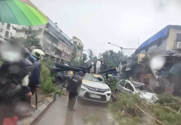 Mumbai Rains  અંધેરીમાં ભારે વરસાદની જોરદાર બેટિંગ, મરોલ મિલિટરી રોડ પર વૃક્ષ ધરાશાયી…