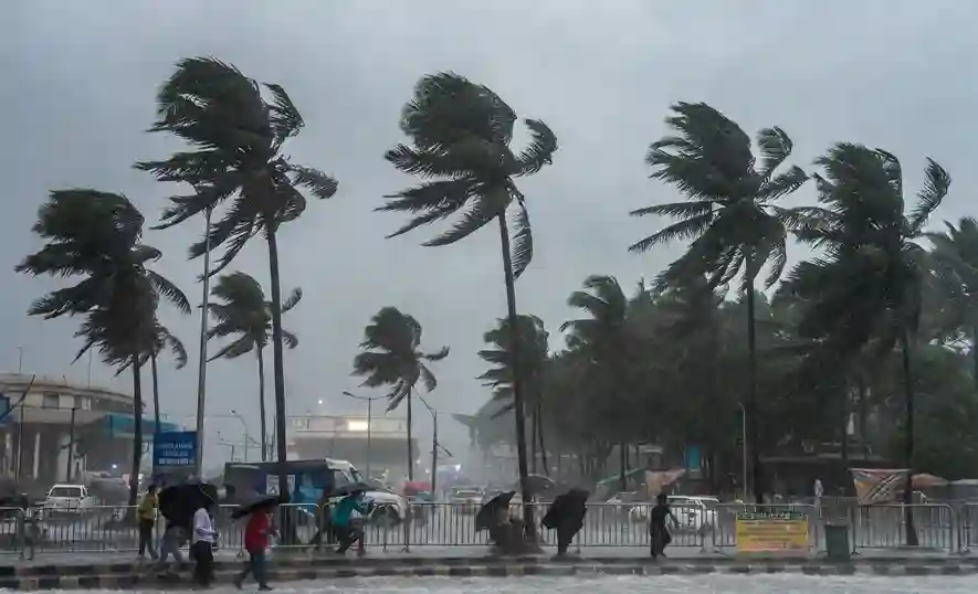 Shivaji Park Storm મુંબઈના દાદરના શિવાજી પાર્કમાં મેઘરાજાનું તાંડવ ભારે વરસાદ અને પવનથી જનજીવન અસ્તવ્યસ્ત.
