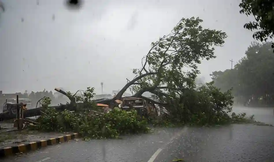 Tree Collapse Incident મીરાભાયંદરમાં ગમખ્વાર દુર્ઘટના અચાનક વૃક્ષ ધરાશાયી થતા CCTV માં કેદ થઈ આ ઘટના