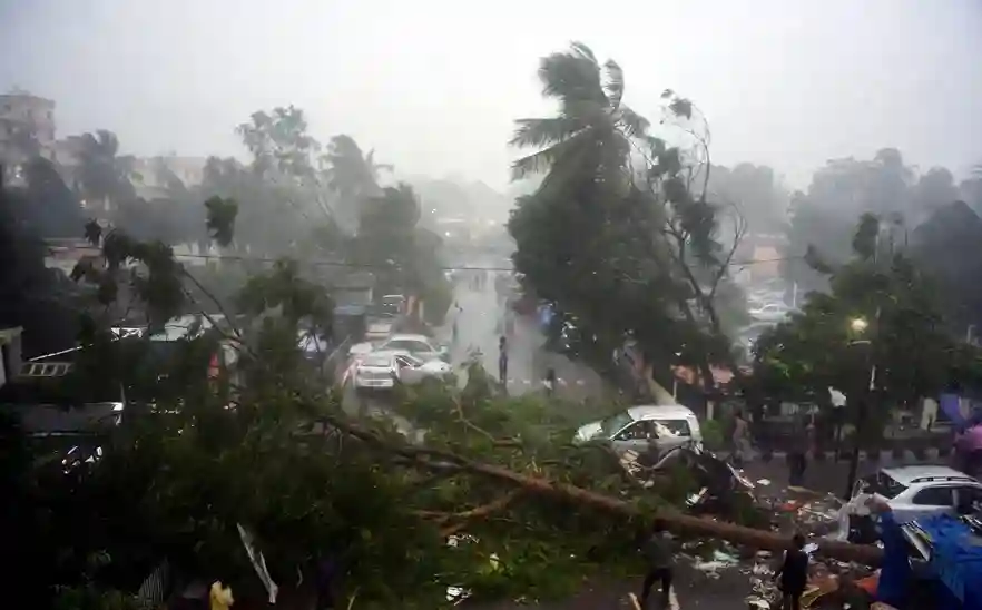 Tree Collapse Incident મુલુંડમાં આફતનો વરસાદ ટાટા કોલોની પાસે વિશાળ વૃક્ષ ધરાશાયી (Tree Collapse) થતા ટ્રાફિક જામ