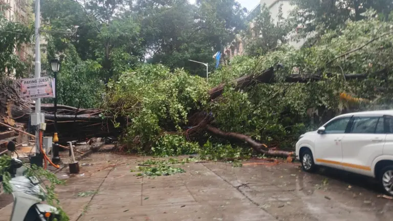 Tree Crash Churchgate  મુંબઈમાં વરસાદનું જોર યથાવત, ચર્ચગેટમાં વૃક્ષ ધરાશાયી, B રોડ પર વાહનવ્યવહાર ઠપ્પ