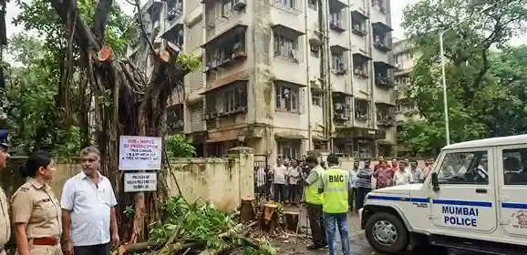 BMC Police Cases Against Housing Societies પર્યાવરણ સાથે ચેડાં કરનાર સોસાયટીઓ સકંજામાં ગેરકાયદે ઝાડ કાપવા બદલ BMCએ નોંધાવી પોલીસ ફરિયાદ..
