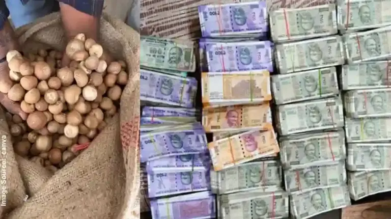 DRI Busts Betel Nut Import Scam  ડિરેક્ટોરેટ ઓફ રેવન્યુ ઇન્ટેલિજન્સ (DRI) દ્વારા સોપારીની આયાતમાં સાફ્ટા (SAFTA) કરારના મોટા પાયે ગેરકાયદે ઉપયોગ અને દાણચોરીના નેટવર્કનો પર્દાફાશ