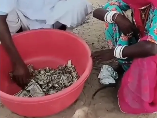Farmer Lost Savings Buried in Field  ૫ લાખ રૂપિયા બચાવવા ગયા અને આખી જિંદગીની કમાણી ગુમાવી બેઠા ખેડૂત, દીમક બની દુશ્મન