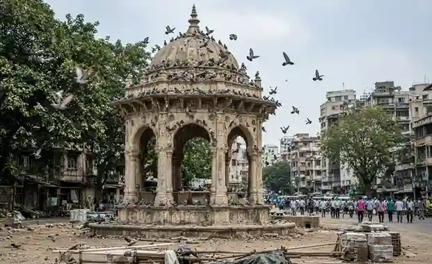 Mumbai Dadar Kabutar Khana News  દાદર કબૂતરખાનાની કાયાપલટ કરવા BMC તૈયાર, ટૂંક સમયમાં શરૂ થશે કામ