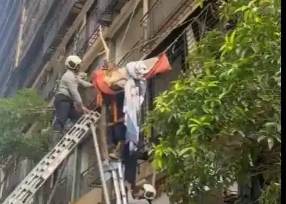 Mumbai Miracle Rescue 'રામ રાખે તેને કોણ ચાખે' ભાંડુપમાં ૧૦મા માળેથી નીચે પટકાયેલી મહિલા માટે ઝાડ બન્યું જીવનદાતા!