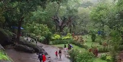 Sanjay Gandhi National Park Land મુંબઈના ફેફસાં સમાન SGNP ની જમીન બચી મહેસૂલ મંત્રીના એક નિર્ણયથી ખાનગી દાવેદારોની દાદાગીરીનો અંત!