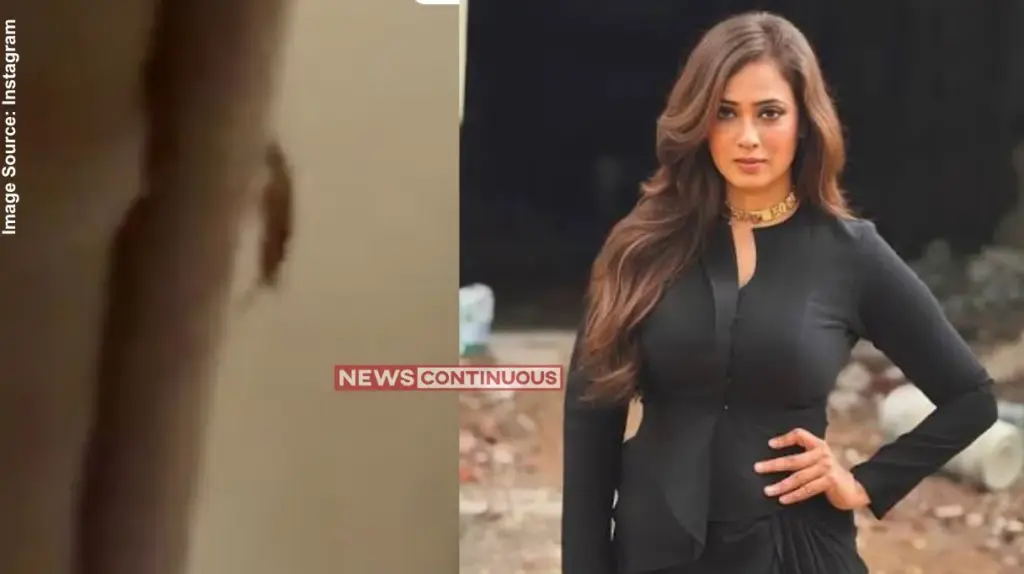 Shweta Tiwari Cockroach in Online Food Order ઓનલાઇન ખાવાનું મંગાવતાં પહેલાં સો વાર વિચારજો! શ્વેતા તિવારીના ફૂડમાંથી નીકળ્યો વાંદો, જુઓ શું બોલી અભિનેત્રી!