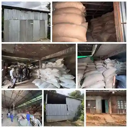 DRI Cross Border Smuggling Crackdown પૂર્વોત્તરમાં DRI નો મોટો સપાટો આસામ અને મિઝોરમમાંથી ₹૨૦.૩૧ કરોડની સોપારીખસખસ જપ્ત, ૪ દાણચોરોની ધરપકડ!