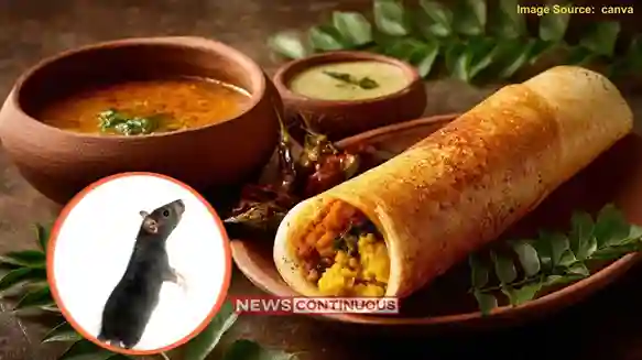Dead Rat Mysore Masala Dosa મુંબઈના બોરીવલીમાં રેસ્ટોરન્ટના મૈસૂર મસાલા ઢોસામાંથી નીકળ્યો મરેલો ઉંદર ગ્રાહકે નોંધાવી પોલીસ ફરિયાદ, મચ્યો હોબાળો!