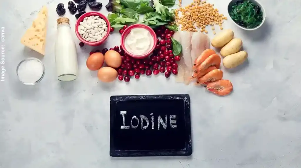 Iodine Deficiency Diet સતત થાક અને નબળાઈ લાગે છે? શરીરમાં હોઈ શકે છે આયોડિનની કમી, આ 4 ખોરાક ખાવાથી મળશે રાહત