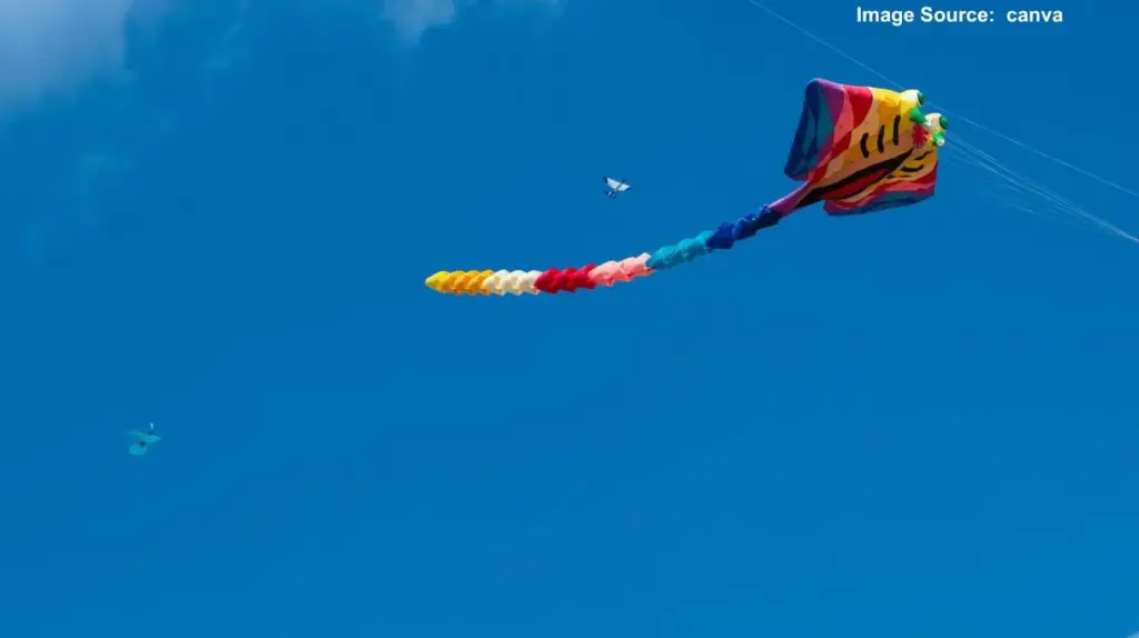 Kite Flying Banned Near INS Shikra  નૌકાદળ એર સ્ટેશન આસપાસ ૬૦ દિવસ પતંગ ઉડાડવા પર પ્રતિબંધ, નિયમભંગ પર કડક કાર્યવાહીની ચેતવણી